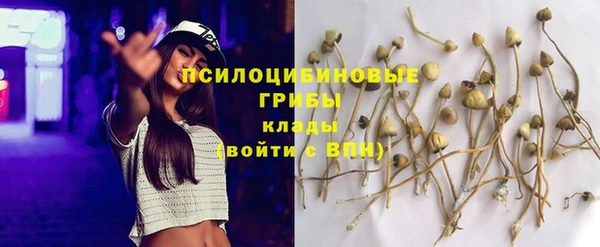 дурь Алзамай