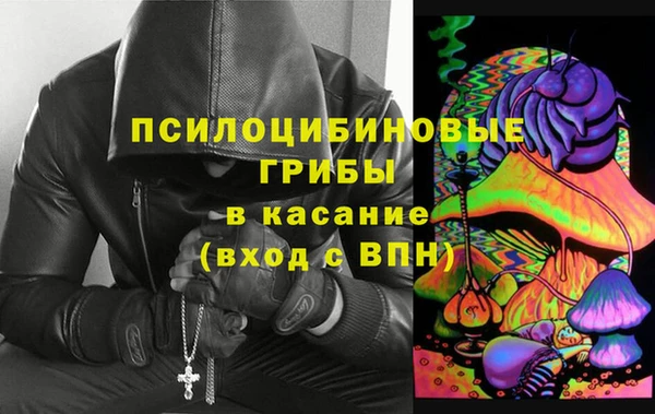 дурь Алзамай