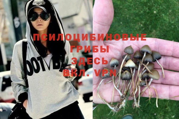 кристаллы Алексеевка