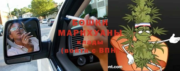 дурь Алзамай