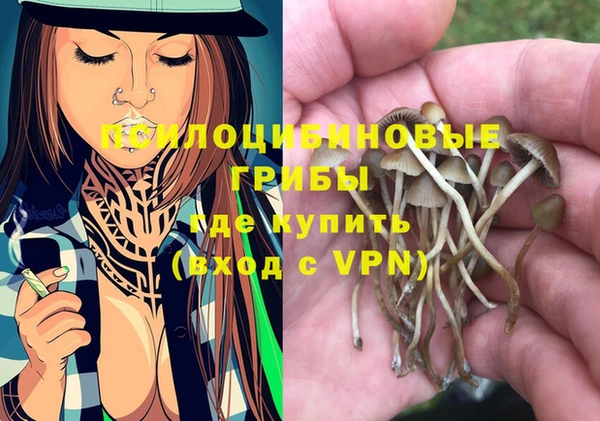 дурь Алзамай